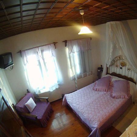Mansion Theodora Hotel Makrinitsa Bagian luar foto