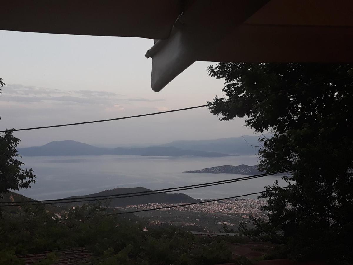 Mansion Theodora Hotel Makrinitsa Bagian luar foto