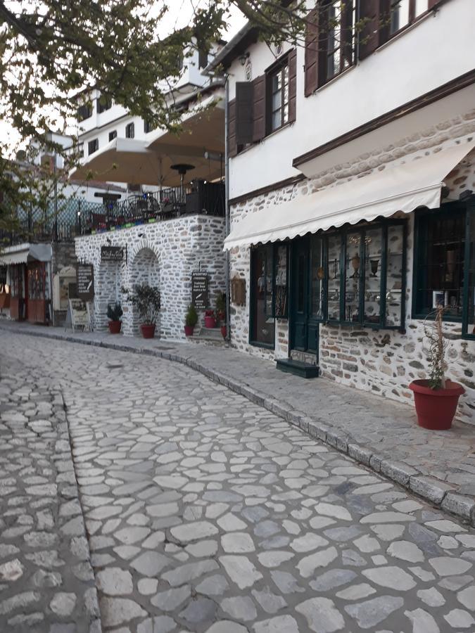 Mansion Theodora Hotel Makrinitsa Bagian luar foto