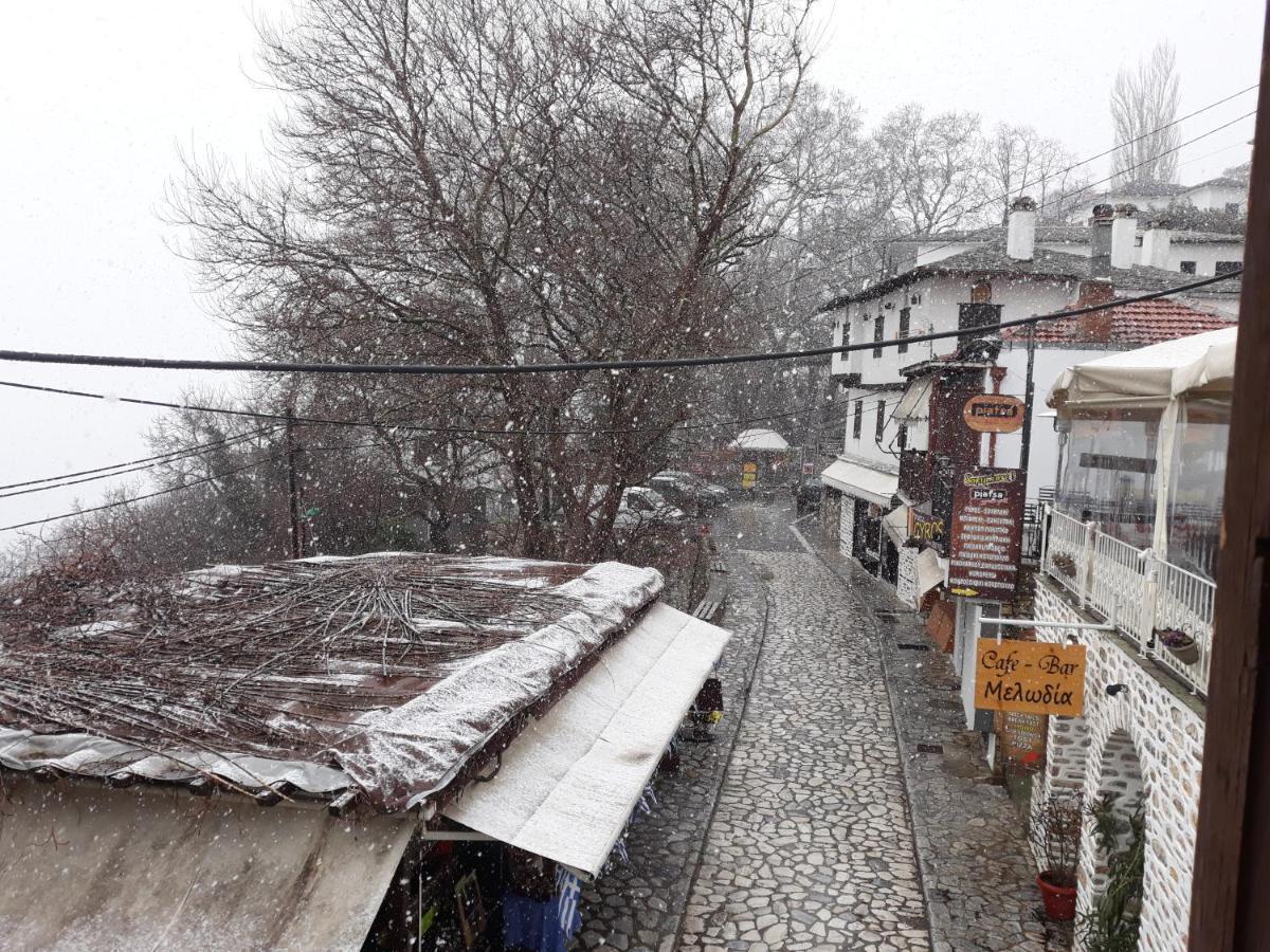 Mansion Theodora Hotel Makrinitsa Bagian luar foto